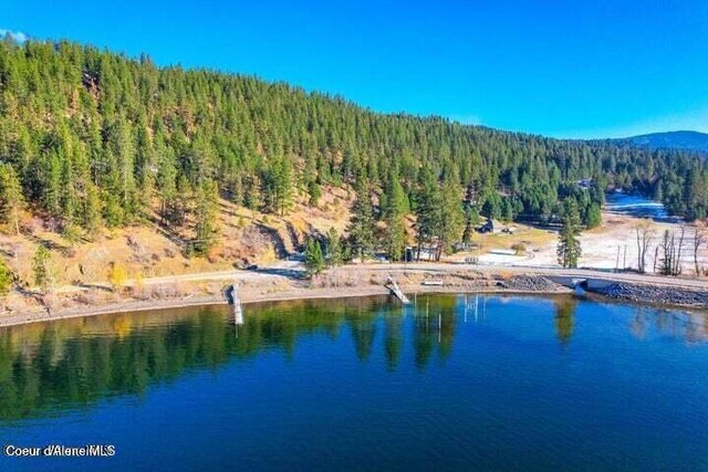 NKA S Skyview Rd, Harrison, ID 83833