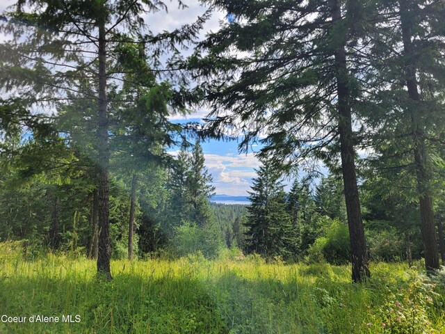 NKA S Skyview Rd, Harrison, ID 83833