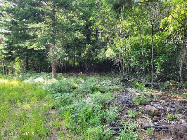 NKA S Skyview Rd, Harrison, ID 83833