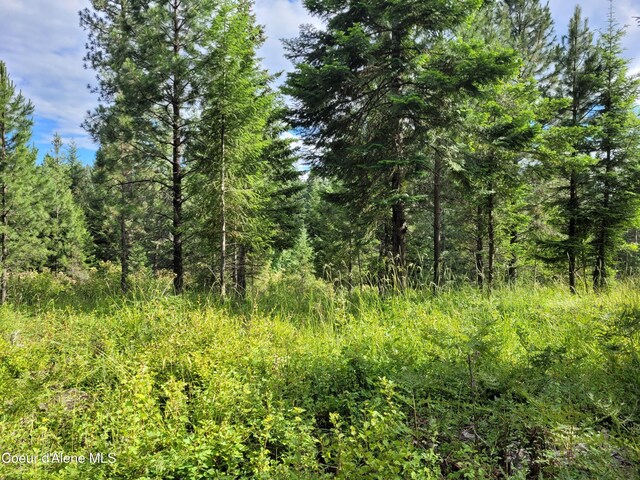NKA S Skyview Rd, Harrison, ID 83833