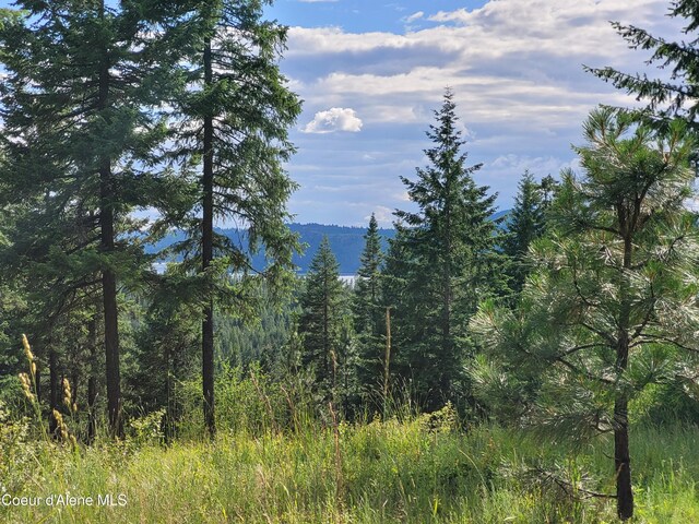 NKA S Skyview Rd, Harrison, ID 83833