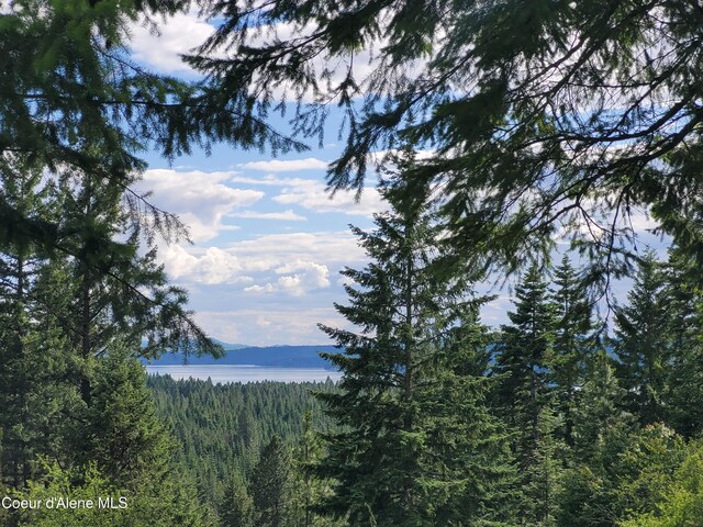 NKA S Skyview Rd, Harrison, ID 83833