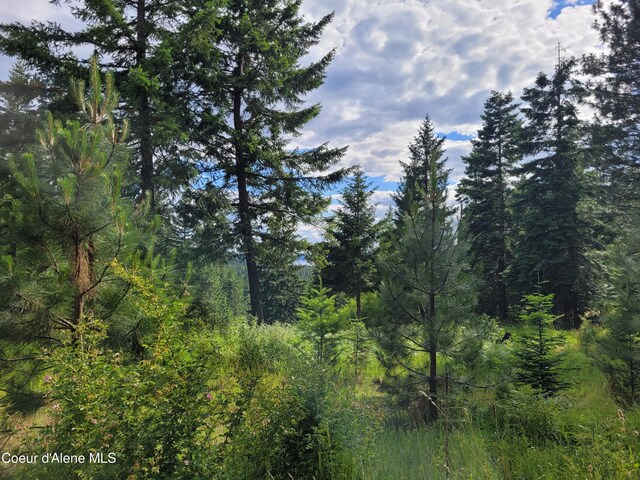 NKA S Skyview Rd, Harrison, ID 83833