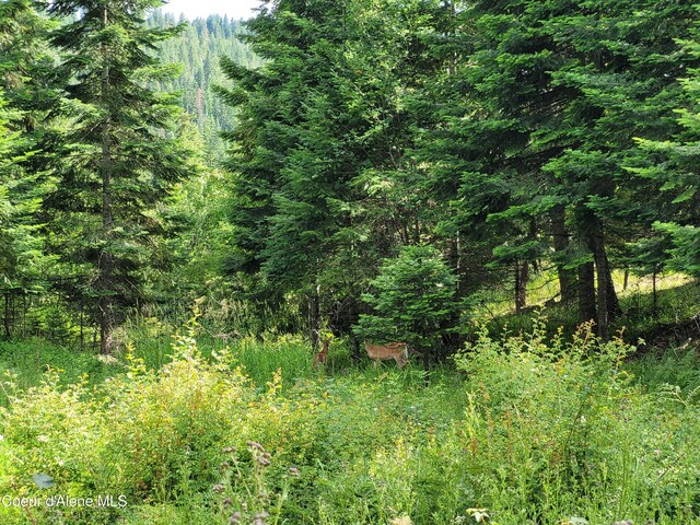 NKA S Skyview Rd, Harrison, ID 83833