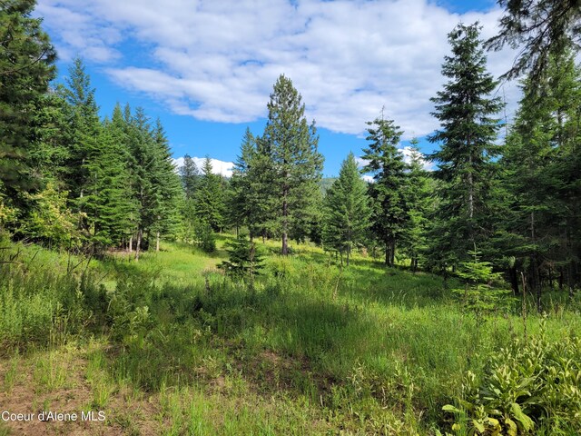 NKA S Skyview Rd, Harrison, ID 83833