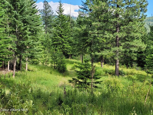 NKA S Skyview Rd, Harrison, ID 83833
