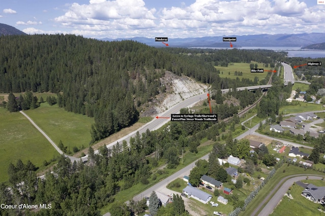 bird's eye view featuring a mountain view