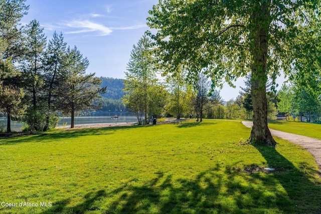 view of community featuring a yard