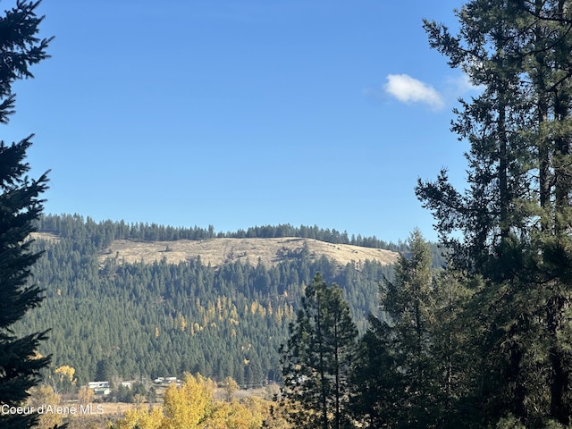 property view of mountains