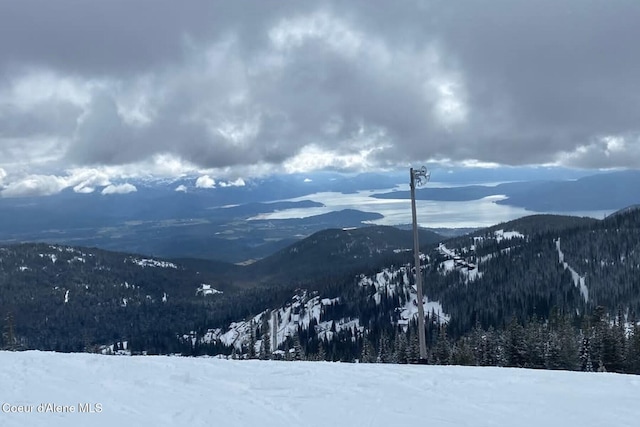 view of mountain feature