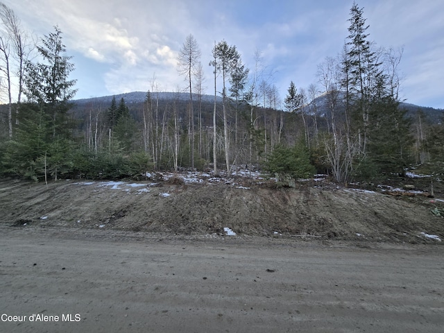 NNA W Side Road Parcel 5, Bonners Ferry ID, 83805 land for sale