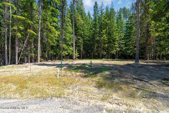 Brown Bear Dr, Nordman, ID 83848 - photo 17