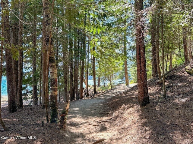 Brown Bear Dr, Nordman, ID 83848 - photo 21