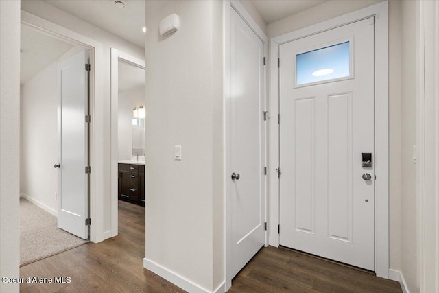 entryway featuring dark hardwood / wood-style flooring and sink