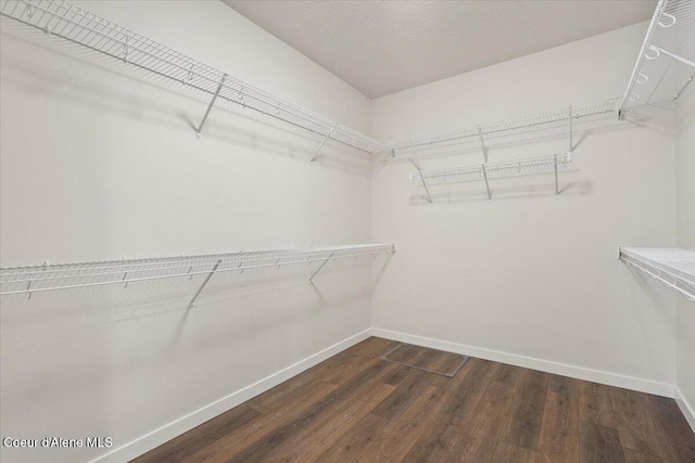 spacious closet with dark hardwood / wood-style floors