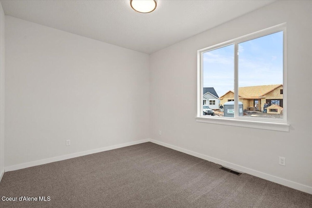 spare room featuring carpet floors