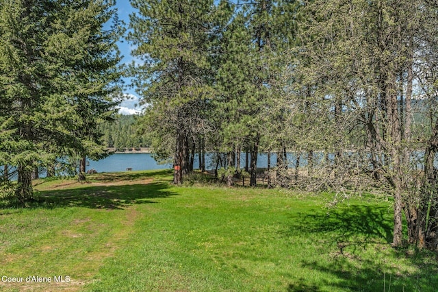 view of yard with a water view