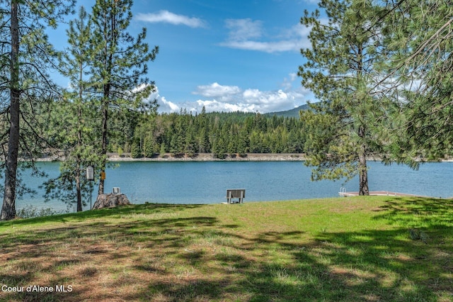 property view of water featuring a view of trees