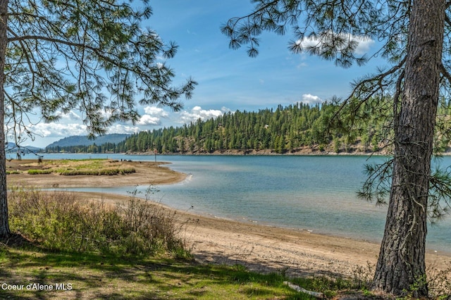 water view featuring a view of trees