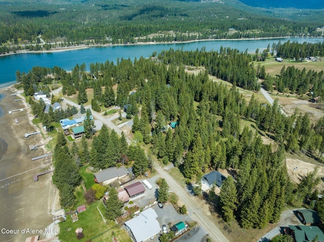 bird's eye view featuring a water view and a forest view