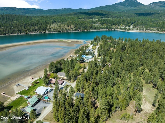 bird's eye view featuring a water and mountain view and a view of trees