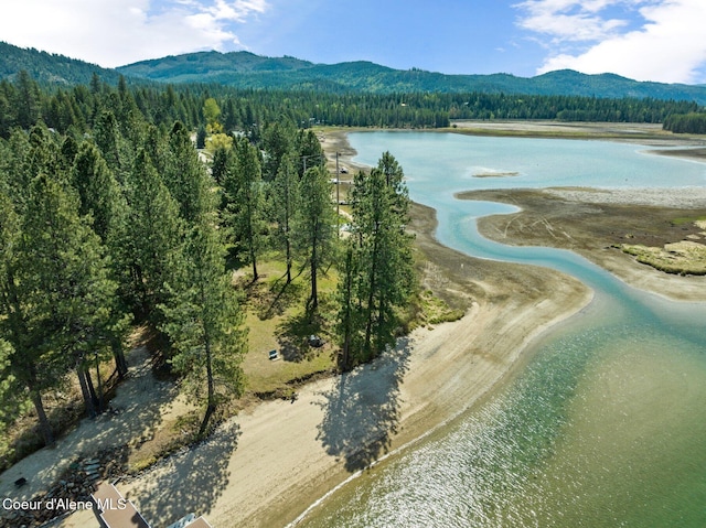 aerial view with a view of trees and a water and mountain view