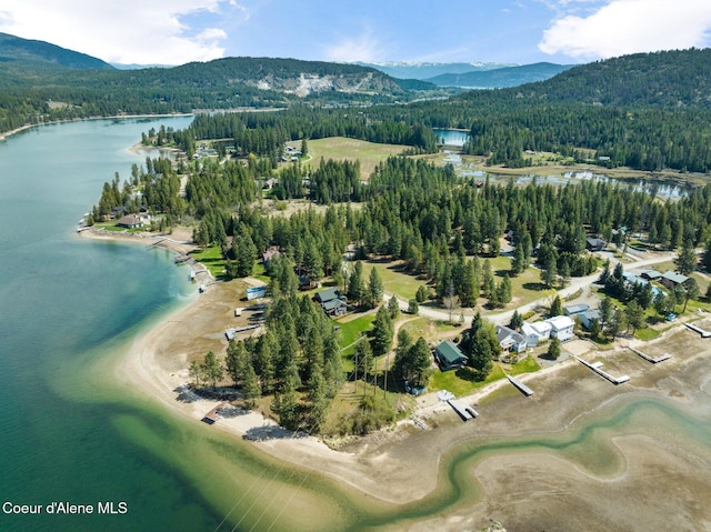 birds eye view of property with a view of trees and a water and mountain view