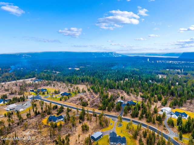 Listing photo 2 for LOT12BLK1 E Sedgwick Ln, Athol ID 83801