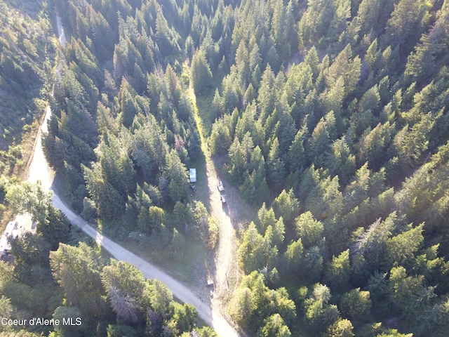 LOT9 Bear Creek Rd, Kingston ID, 83839 land for sale