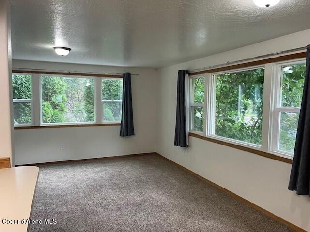 carpeted empty room featuring plenty of natural light and a textured ceiling