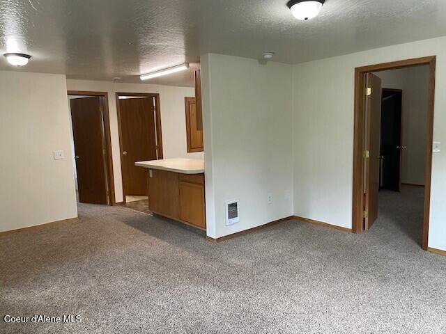 spare room featuring carpet flooring and a textured ceiling