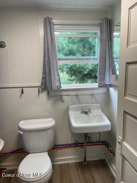 bathroom featuring toilet, wood-type flooring, sink, and tile walls