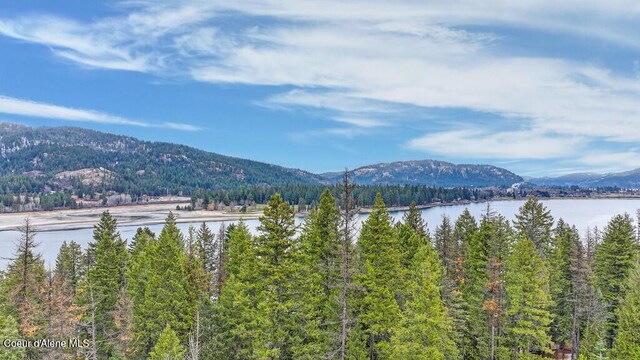 13 Christensen Ave, Priest River, ID 83856