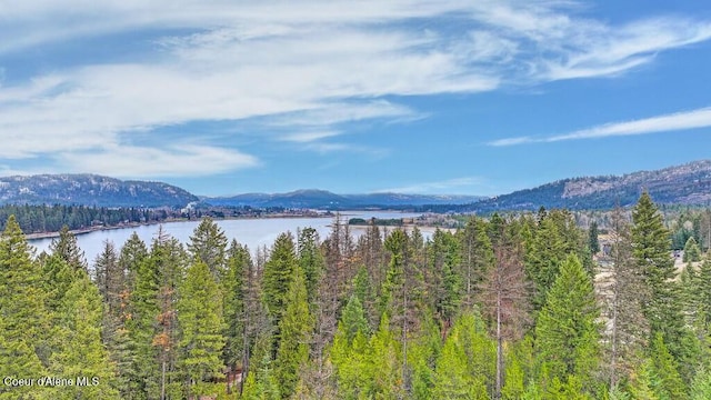 13 Christensen Ave, Priest River, ID 83856
