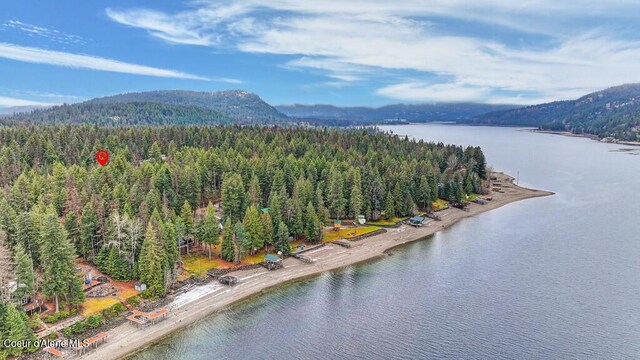 13 Christensen Ave, Priest River, ID 83856