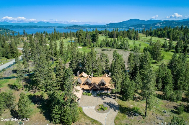 6126 S Gozzer Rd, Harrison, ID 83833 - aerial view with a mountain view