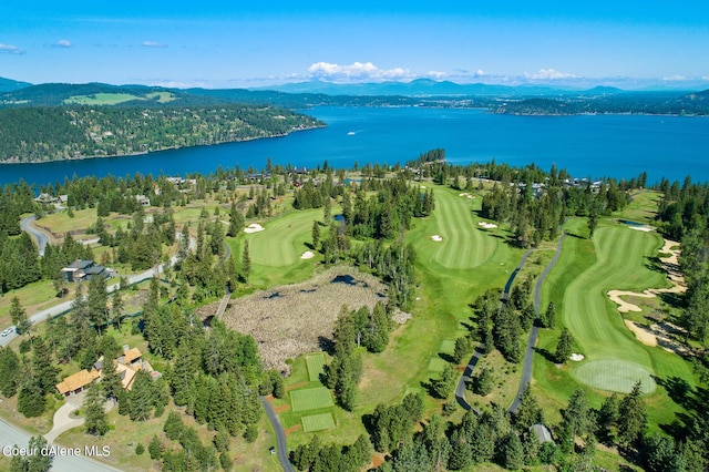 6126 S Gozzer Rd, Harrison, ID 83833 - birds eye view of property featuring a water and mountain view