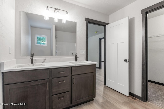 bathroom with hardwood / wood-style floors and vanity