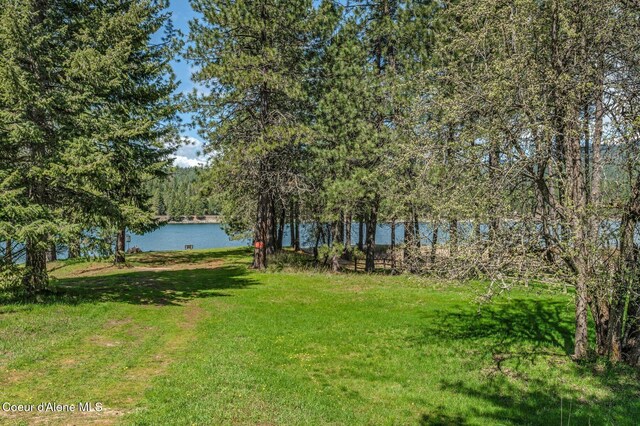view of yard with a water view