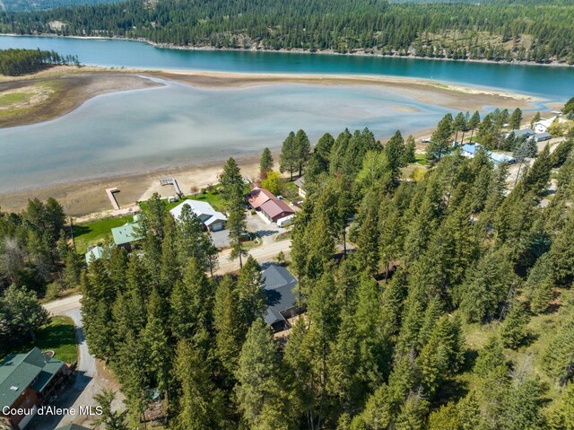 birds eye view of property with a residential view, a water view, and a forest view
