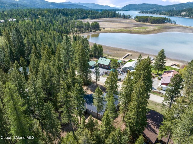 birds eye view of property featuring a view of trees and a water and mountain view