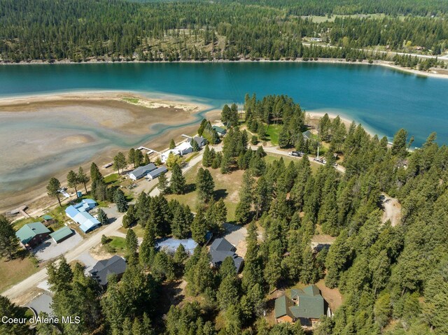 bird's eye view featuring a water view and a forest view