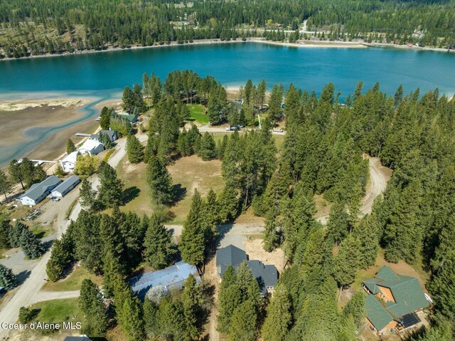 drone / aerial view with a water view and a forest view