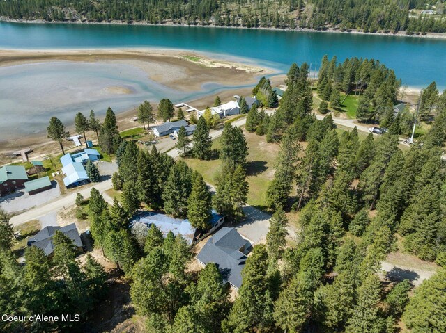 bird's eye view featuring a water view and a view of trees