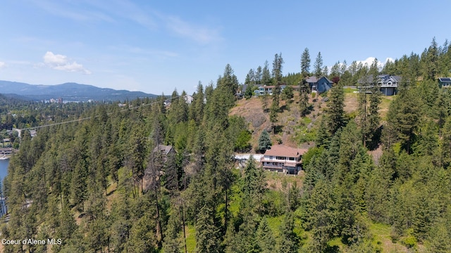 bird's eye view with a mountain view