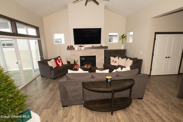 living room with high vaulted ceiling, wood-type flooring, and a wealth of natural light