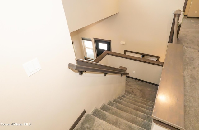 stairway featuring carpet flooring