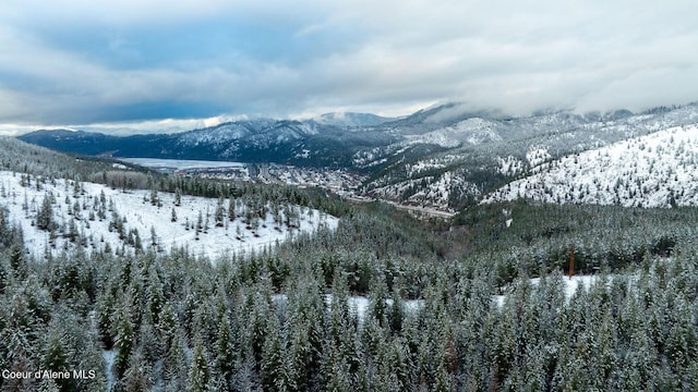 NKA Appleberg Rd, Kellogg, ID 83837