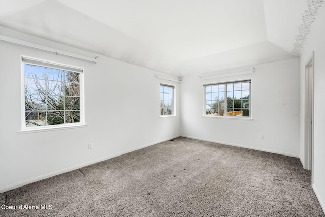 carpeted empty room with a wealth of natural light and lofted ceiling