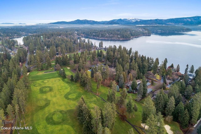 drone / aerial view with a water and mountain view